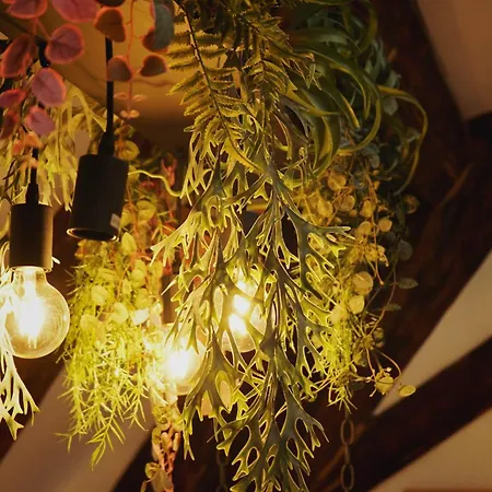 Urban Garden-appartement Apartment