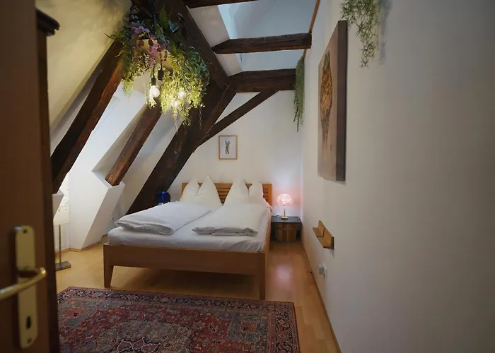 Urban Garden-appartement *