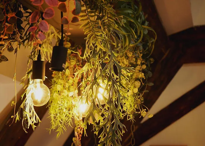 Urban Garden-appartement 公寓